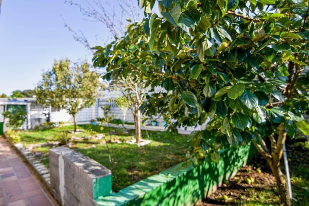 Nuevo - Cómodo y coqueto chalet con jardín en Argoños Exterior foto
